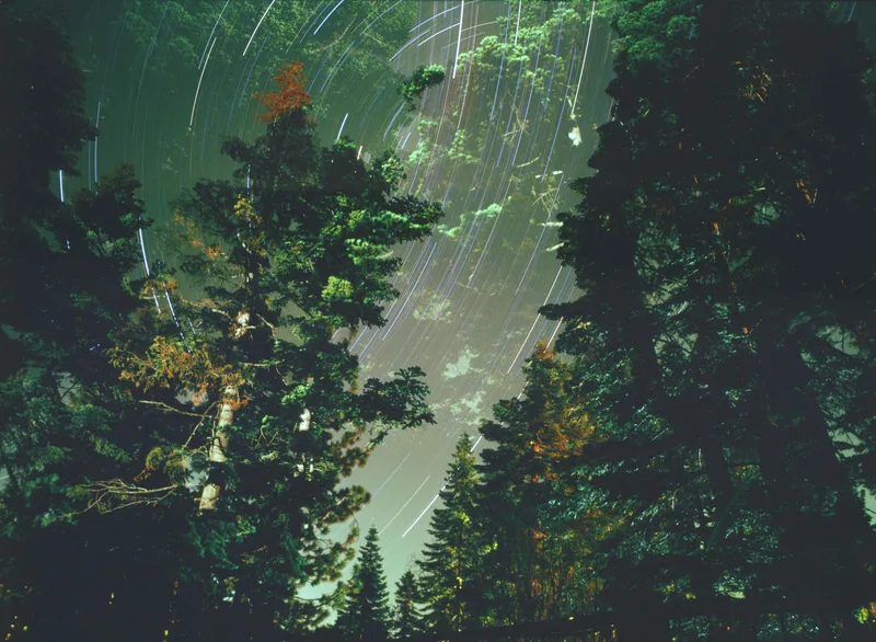 Long Exposure Experiment #1 shot on Kodak Ektachrome E100 with a Mamiya 645, developed at Underdog Film Lab, by Rocky