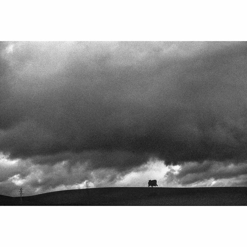 Andalousie shot on Foma Fomapan 400 Action with a Fujica ST801, developed at Home / Self-Developed, by Astrid
