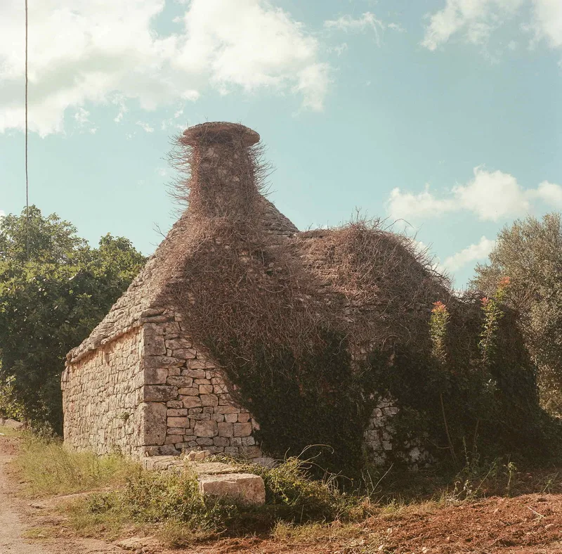 Forgotten. shot on Kodak Portra 160 with a Yashica Mat 124G, developed at Bay Photo Lab, by gregor egan
