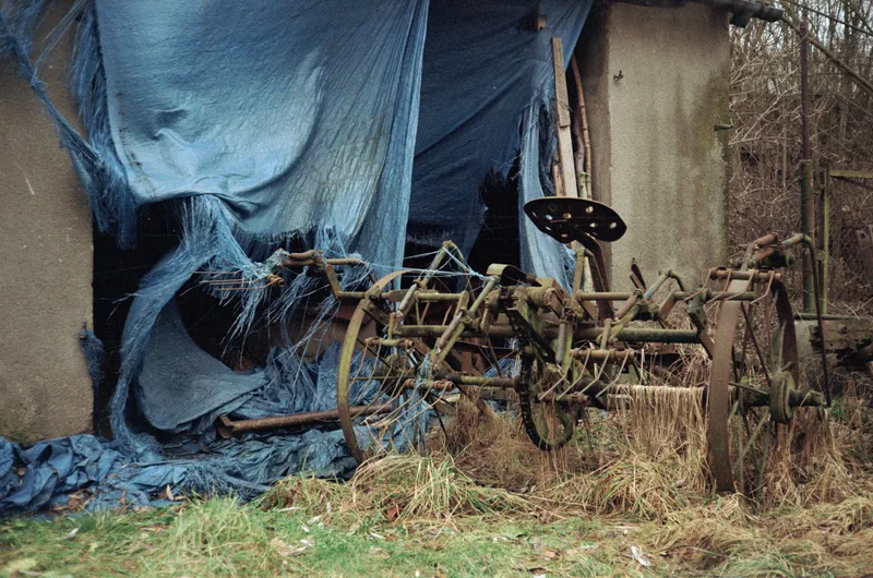 Forgotten shot on Kodak Gold 200 with a Ricoh AF-5, developed at Pod Dachem, by Nanette