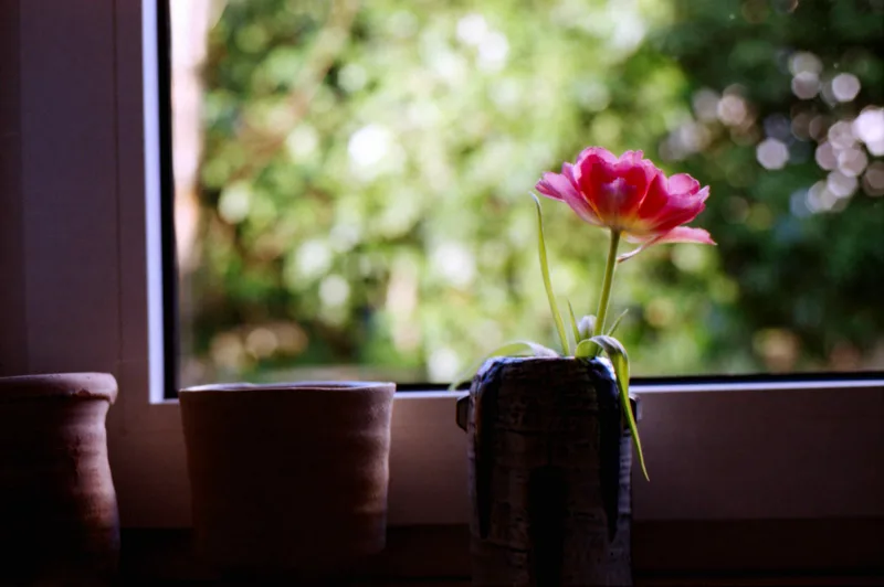 Film photo shot on Agfa Vista Plus 400 with a Nikon F3, developed at DM Fotoparadies, by Frank