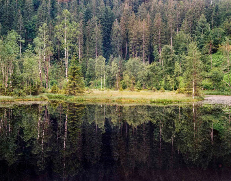 Tarn in the Black Forest, Southern Germany shot on Kodak Ektar 100 with a Chamonix 45N-2, developed at Home / Self-Developed, by Hans- B. Sickler