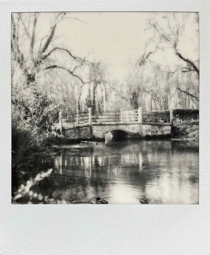 Tranquility shot on Polaroid B&W 600 with a Polaroid SX-70 Alpha 1, by MelvynJ