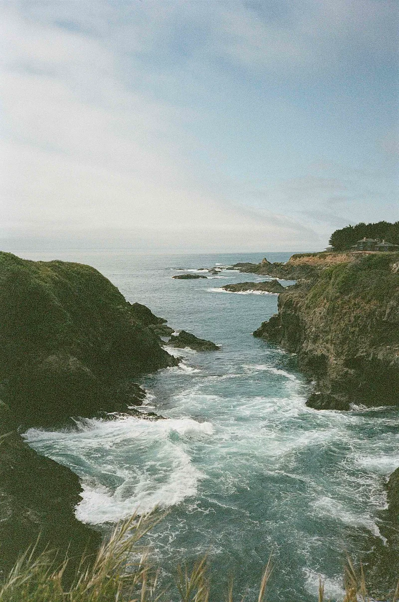 Film photo shot on Kodak Portra 400 with a Minolta Hi-Matic AF, developed at Indie Film Lab, by Kati