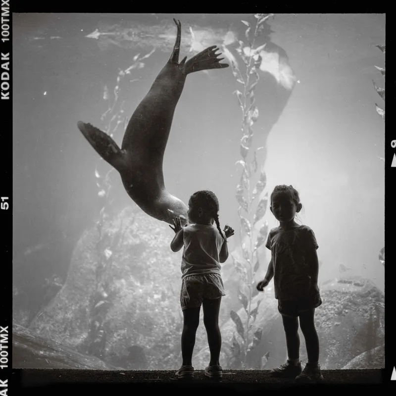 Film photo shot on Kodak T-Max 100 with a Rolleiflex 2.8GX, developed at Photolab (Berkeley, CA), by Pengyuan Huang