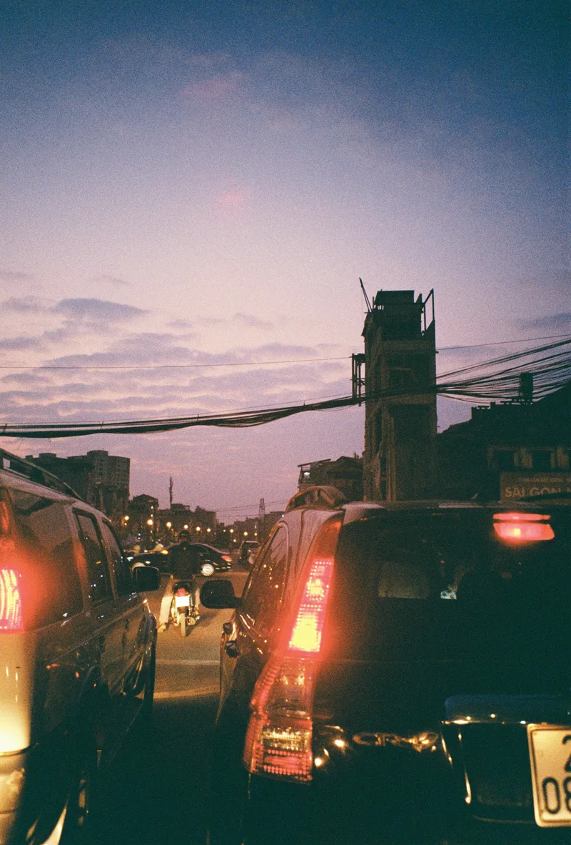 Quick snap shot on Kodak Proimage 100 with a Olympus IZM 220, developed at LLab, by Chienchien