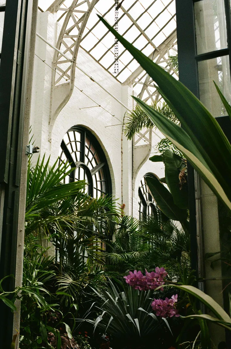 Conservatory shot on Kodak Gold 200 with a Nikon F2 AS, developed at Ball Photo, by Tye