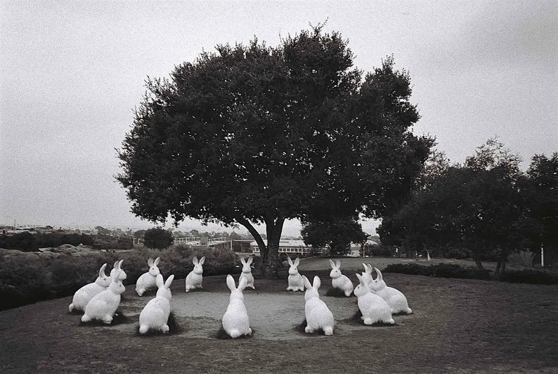 Bunnyhenge shot on Ilford HP5 Plus 400 with a Olympus XA3, developed at The Photo Lab, by Clint