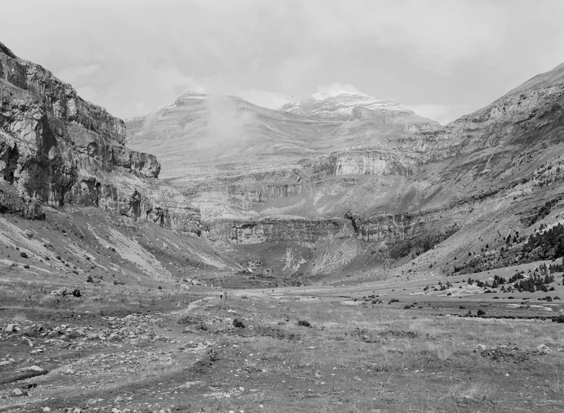 Film photo shot on Ilford XP2 Super 400 with a Mamiya 645J, by tsorrou