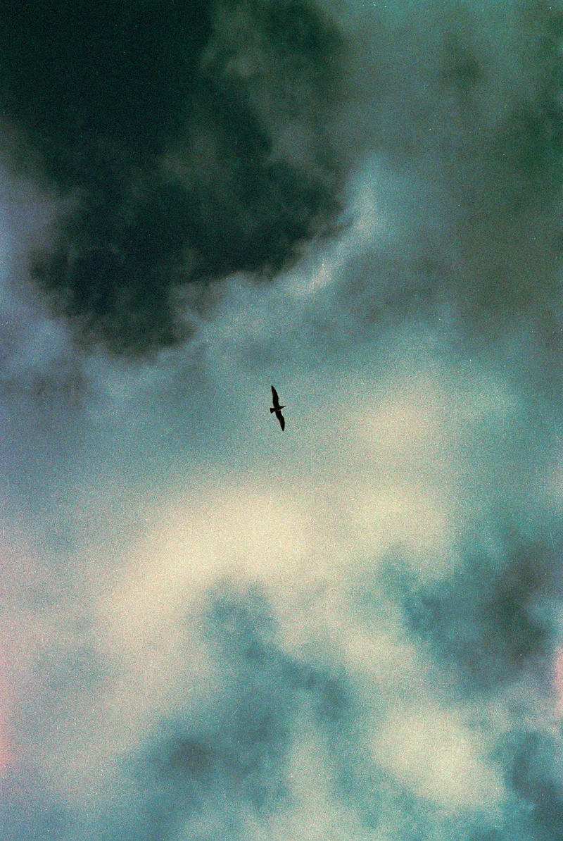 Film photo shot on FilmNeverDie IRO 400 with a Pentax ME Super, developed at Home / Self-Developed, by Chiara Borredon