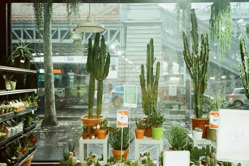 a change in the season shot on Agfa Color 400 with a Olympus XA2, developed at Nation Photo, by damiano