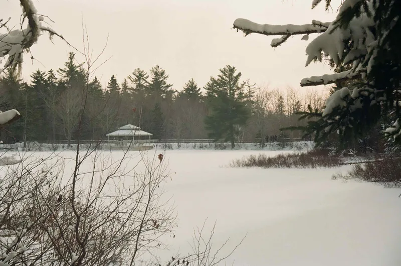 Winter Wonderland shot on Fujifilm Superia 200 with a Canon T70, developed at Ivan’s Photo
