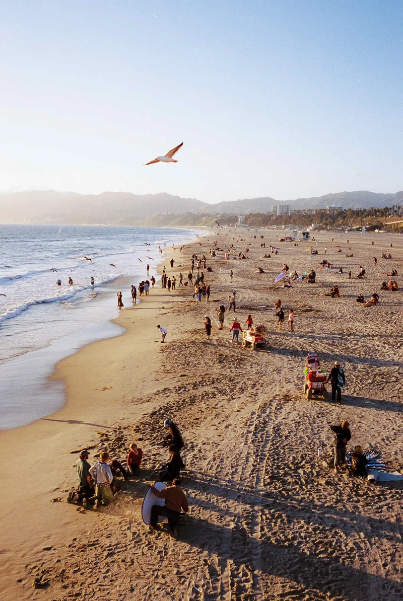 Santa Monica Ecosystem shot on Cinestill 400D with a Leica M6, developed at J & F Photo Lab, by Carlos Cortes