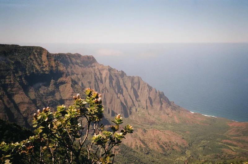 Film photo shot on Kodak Gold 200 with a Nikon L35AF 3, developed at Indie Film Lab, by kamera kerry