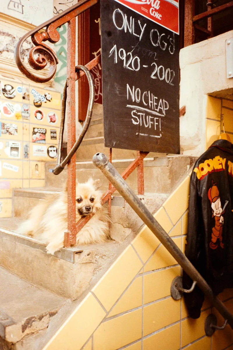 Only OGs shot on Kodak Gold 200 with a Ricoh R1, developed at Home / Self-Developed, by Mateusz Goliath