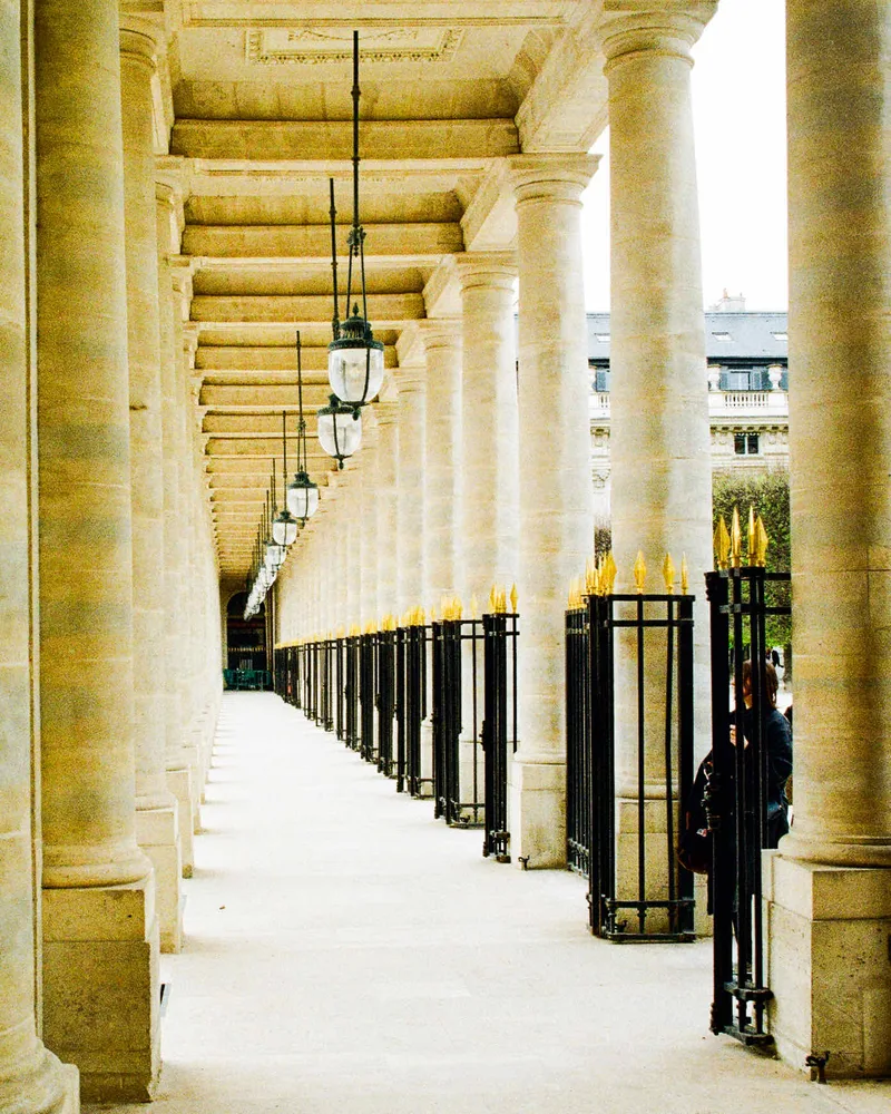 Film photo shot on Kodak Gold 200 with a Nikon F60, developed at Foto Americaine, by Steph