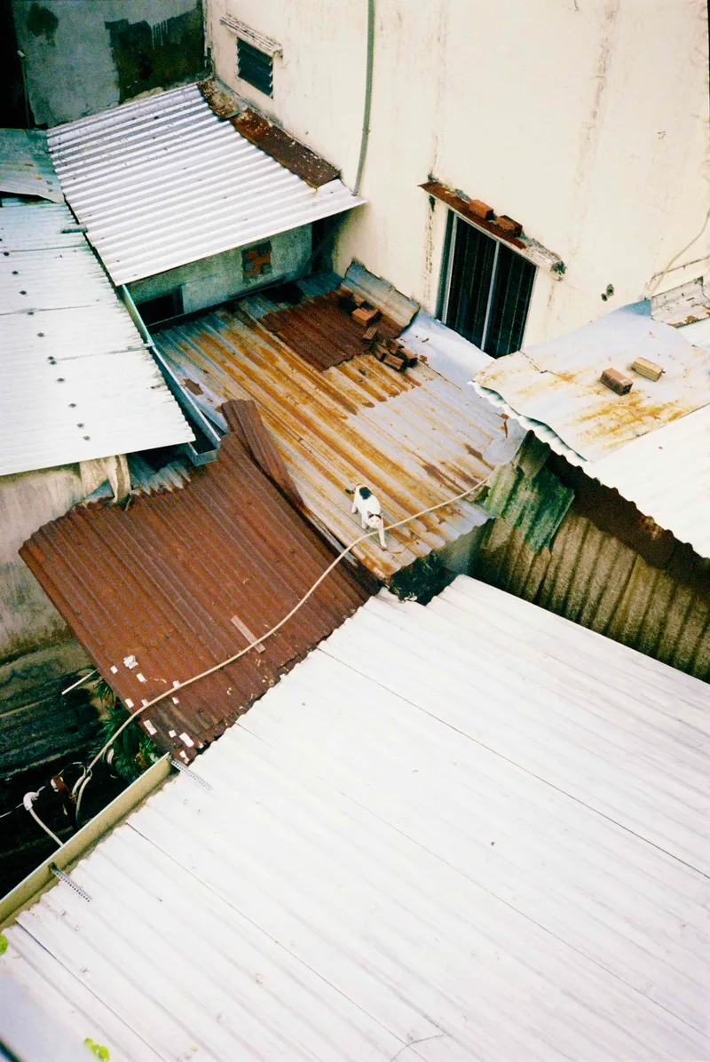 Film photo shot on Kodak Portra 400 with a Rollei 35AF, developed at LLab, by jaemz