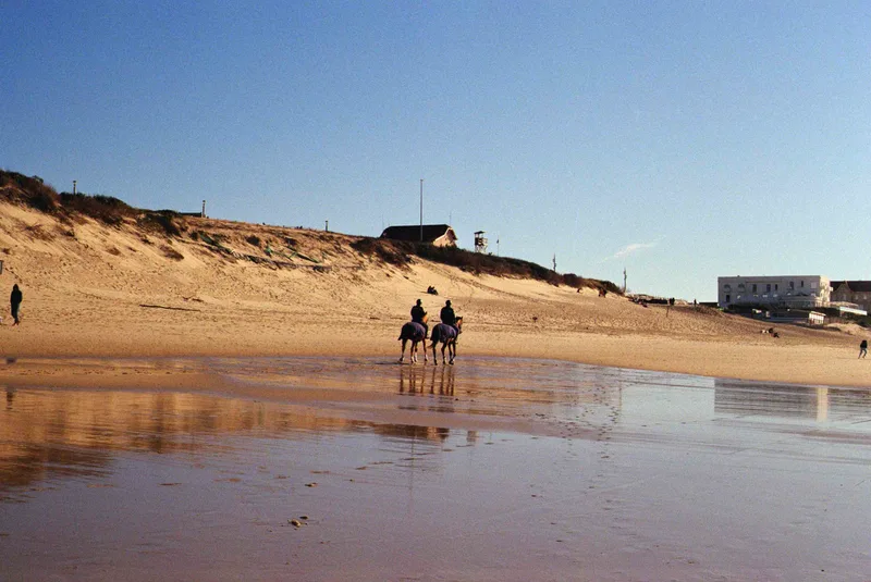 Film photo shot on Kodak Gold 200 with a Canon AE-1 Program, developed at Les Photos du Faubourg, by Nathan