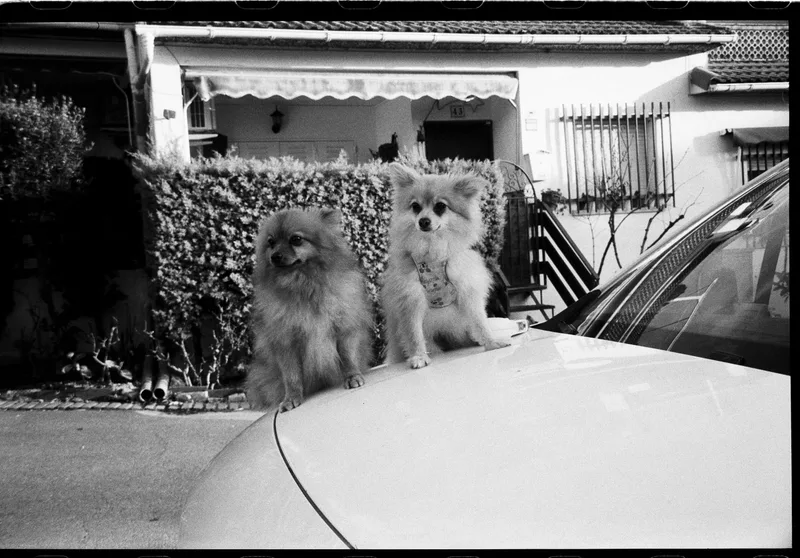 Film photo shot on Kodak Tri-X 400 with a Pentax Espio Zoom, by Rebecabalas_