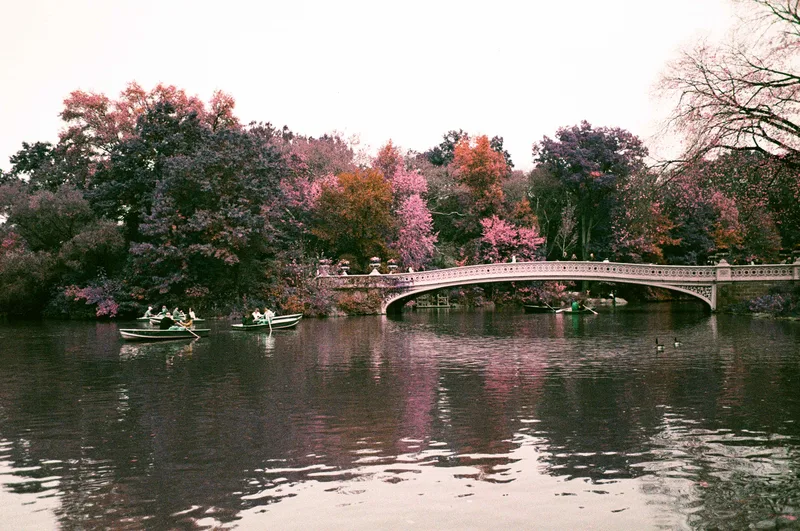 ThatPurpleFilm shot on Lomography LomoChrome Purple 100 with a Canon 650, developed at Luster Photo, by eye.are.vee