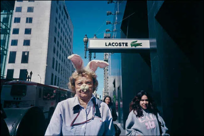 The Postal Worker, Hare and an Alligator shot on Kodak Kodachrome 200 with a Olympus XA4, developed at Dwayne's Film Lab, by Alapan
