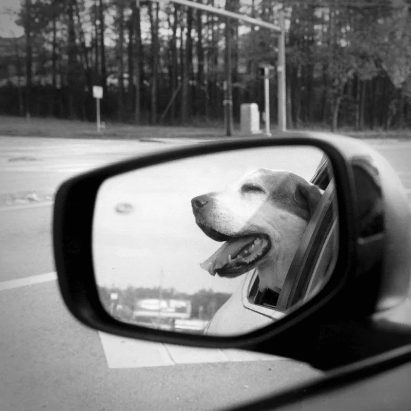 Passenger Princess shot on Arista EDU Ultra 200 with a Sears KSSuper2, developed at Home / Self-Developed, by Ryan Jensen