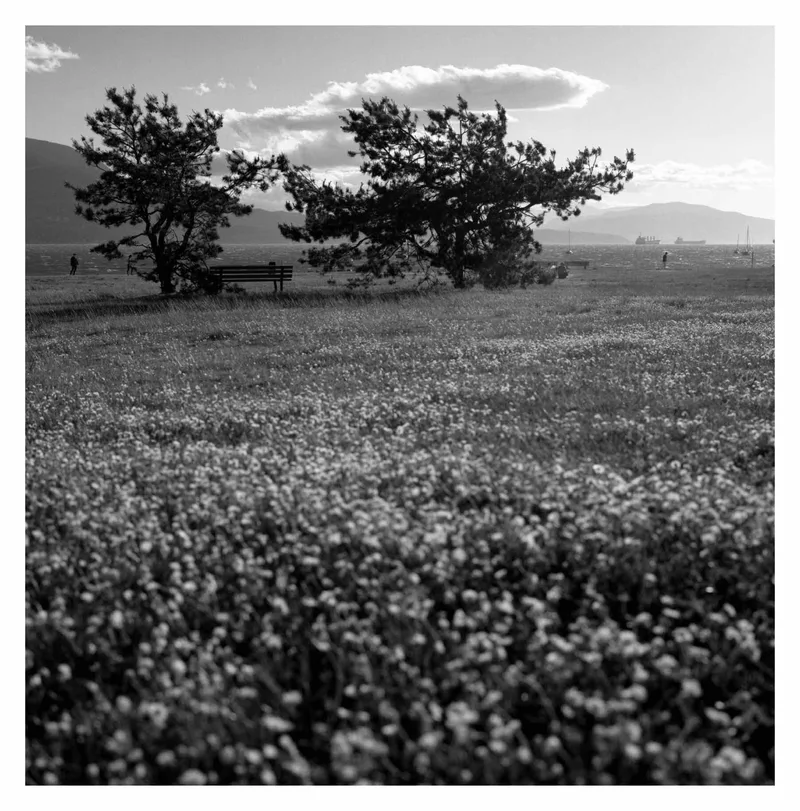 Winds of Time shot on Kodak Tri-X 400 with a Zenza Bronica S2, developed at The Lab, by Simon