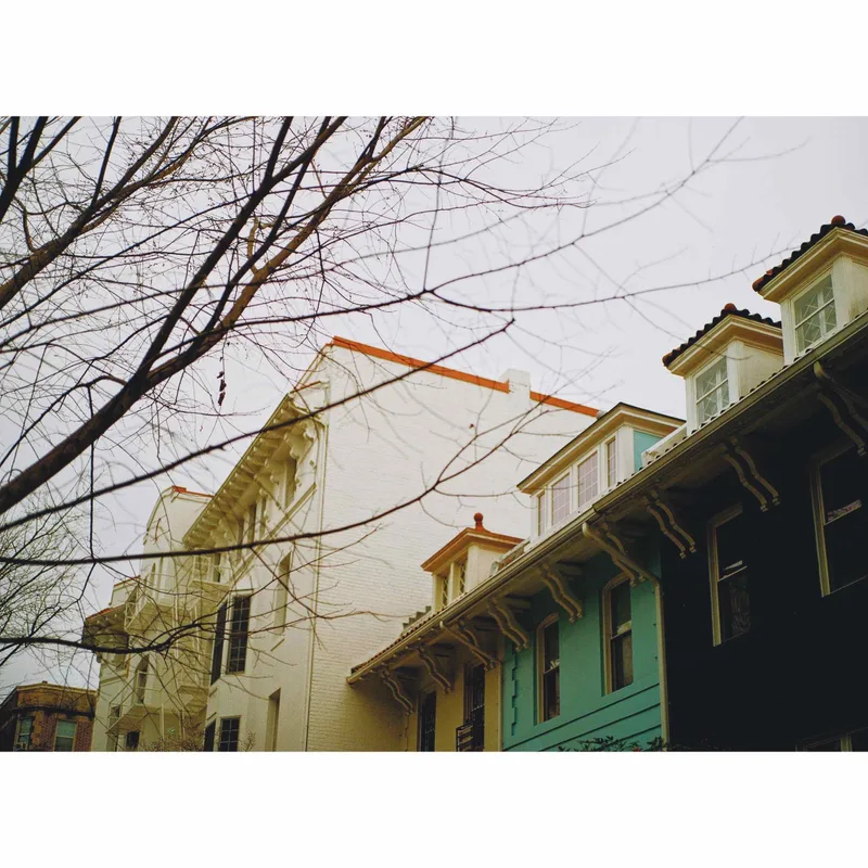 pops of teal shot on Kodak Gold 200 with a Mamiya M645, developed at District Camera & Imaging, by Ev