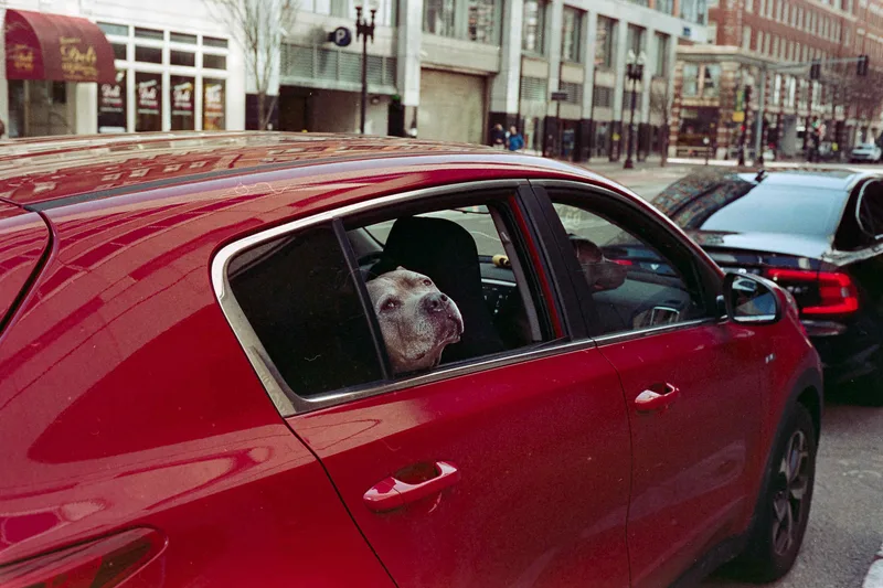 Film photo shot on Reto Amber D400 with a Voigtländer Bessa R3, developed at Colortek of Boston, by Cam Cavagnaro