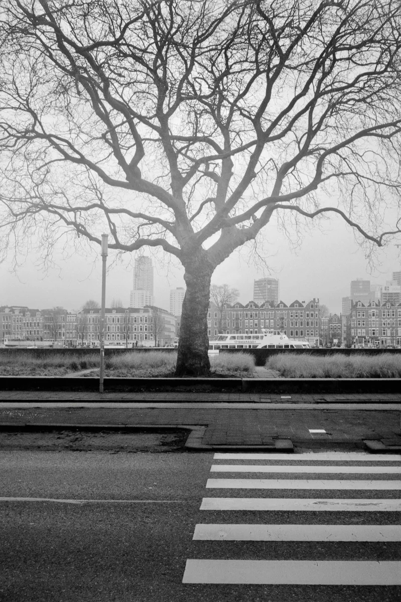 Sleepy Hollow shot on Ilford XP2 Super 400 with a Konica Pop, developed at Cameralisatie, by Vincent