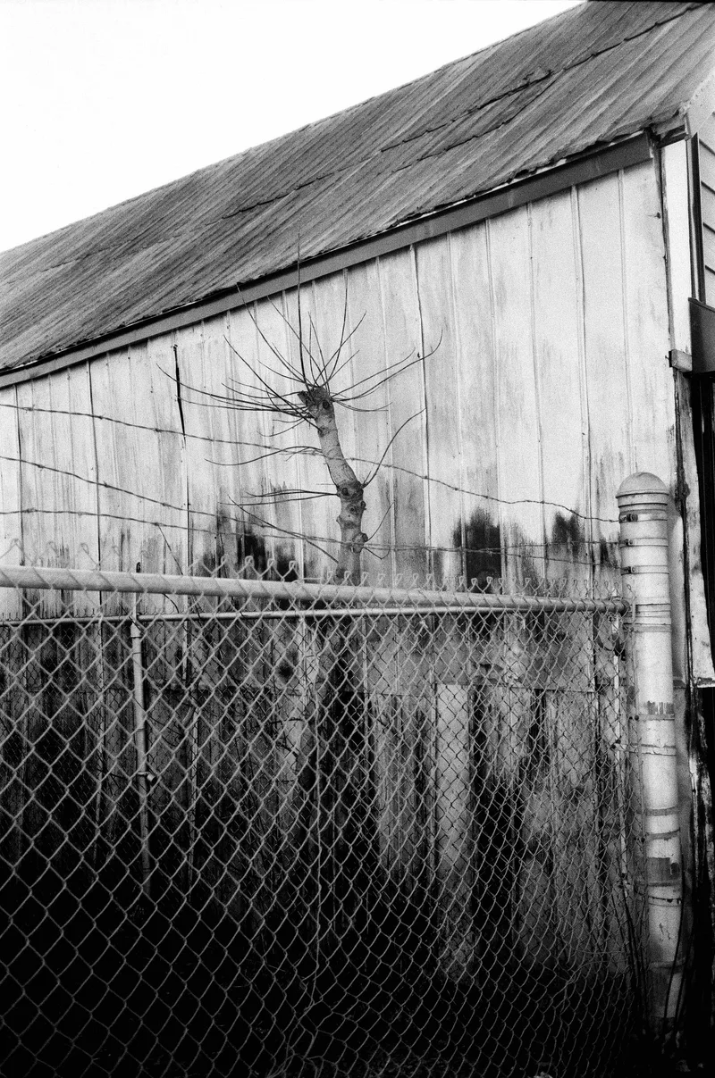 Film photo shot on Ilford FP4 Plus 125 with a Olympus StylusEpic, developed at GPC Labworks, by james erdeg