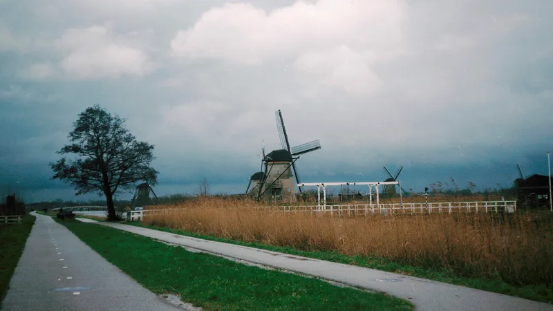 A windy land shot on Kodak Portra 160 NC with a ZeissIkon Derval, by Cristian Brunelli