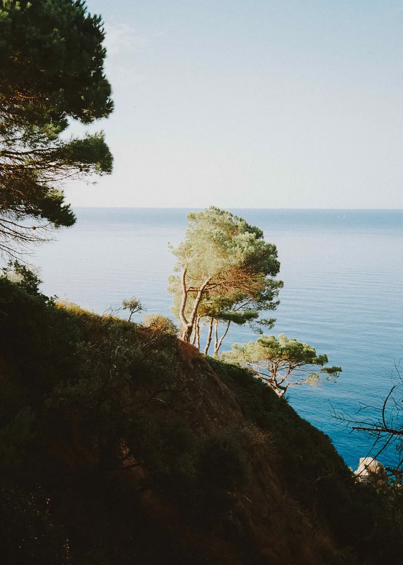 Film photo shot on Kodak ColorPlus 200 with a Rollei 35S, developed at Carmencita, by Jordi Sales