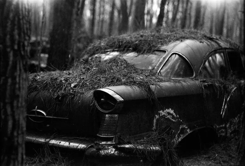 Clipped shot on Foma Fomapan 100 Classic with a Graflex RB, by Wsippelphoto