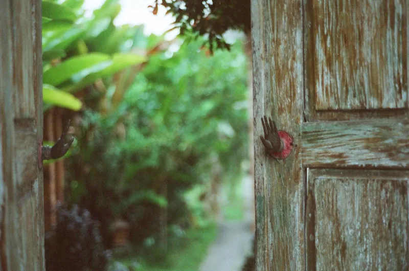 Film photo shot on Mira Films Mira Color 400 with a Nikon FM2, developed at GrainLab, by bianca rati