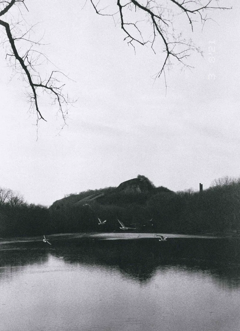 In Flight shot on Kodak BW400CN with a Nikon LiteTouchZoom140ED, developed at Home / Self-Developed, by Nate