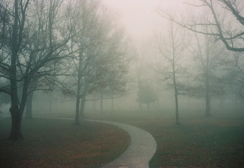 Film photo shot on Kodak Portra 400 with a Yashica Electro35GL, developed at Boutique Film Lab, by Gaby Salinas