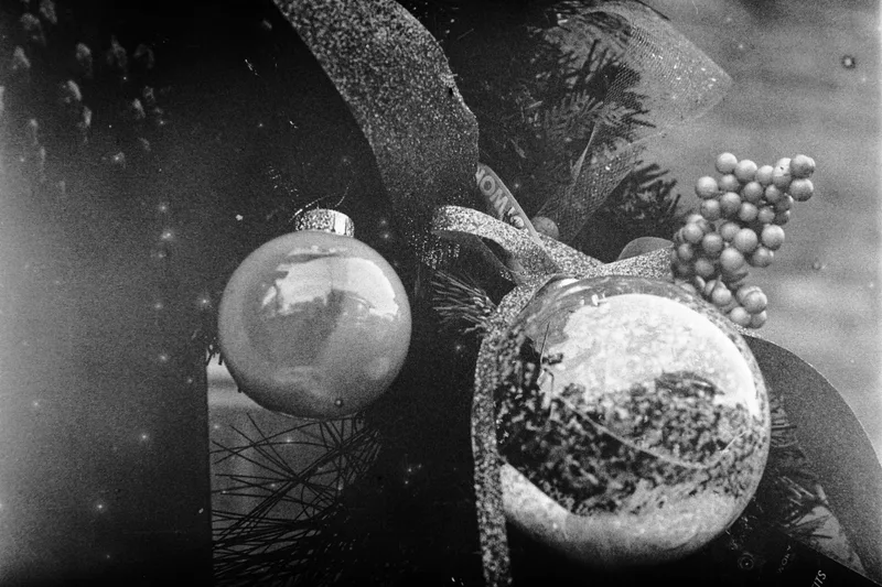 Holly Jolly shot on Film Photography Project Derev Pan 400 with a Nikon FE, developed at Home / Self-Developed, by Ryan Jensen