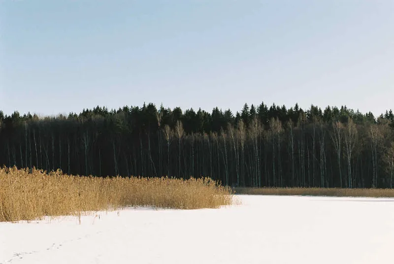 Frozen lake shot on Kodak Gold 200 with a Nikon F5, developed at Photo Stella, by Jussi