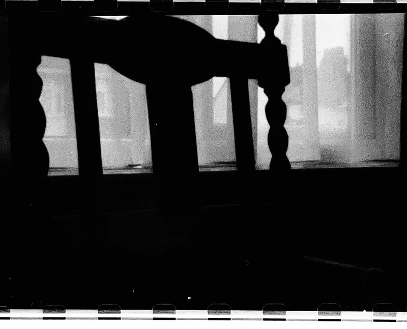 Chair back (1) shot on Fomapan 100 with a HybridFerrianiabody/Holgapinholelens Hybrid, developed at Home / Self-Developed, by Tony Shelley