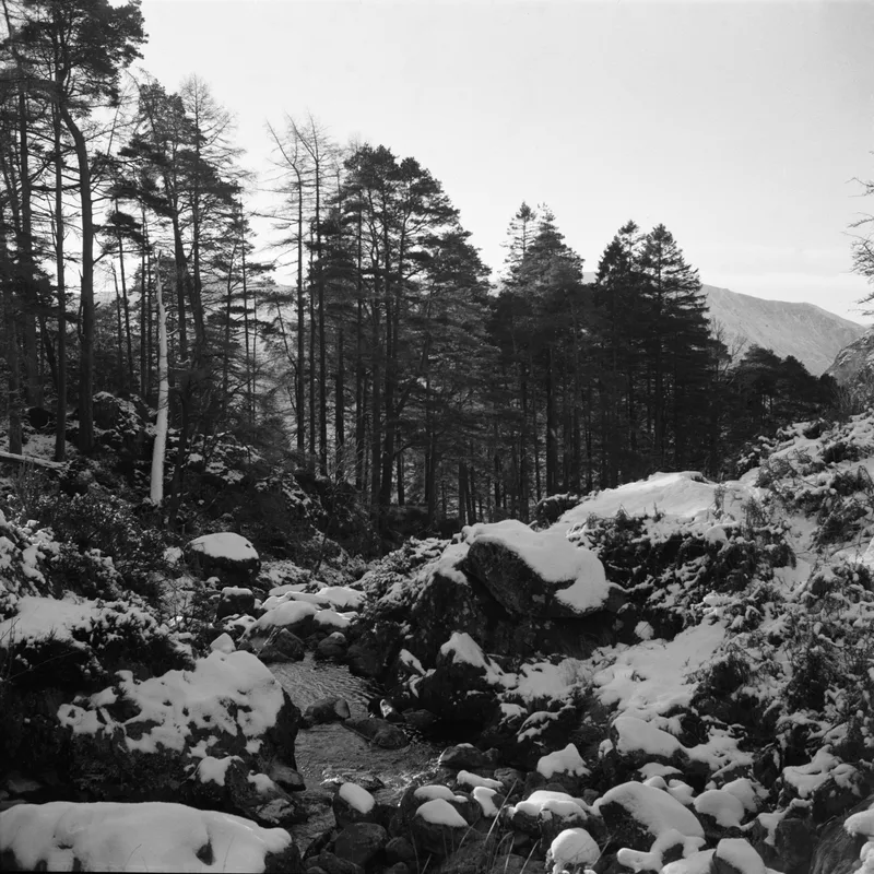 A Christmas Special - Album: Cader Idris shot on Ilford HP5 Plus 400 with a AGFA Isolette-III, developed at Home / Self-Developed, by Jack Stokes
