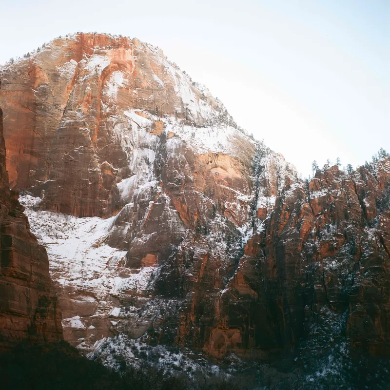 Zion shot on Kodak Ektar 100 with a Yashica Mat 124G, developed at Essential Photo Supply, by Robert Sagers