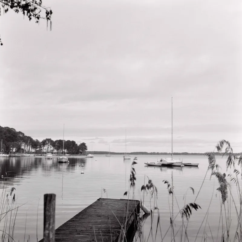 Petite balade au Lac de Lacanau shot on Cinestill BWXX with a Rolleiflex 2.8D, developed at Panajou Bordeaux , by Matthieu Harnois