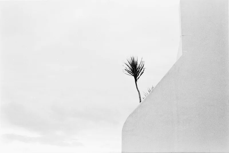 campbell pde. shot on Ilford HP5 Plus 400 with a Leica M4, developed at Home / Self-Developed, by mark