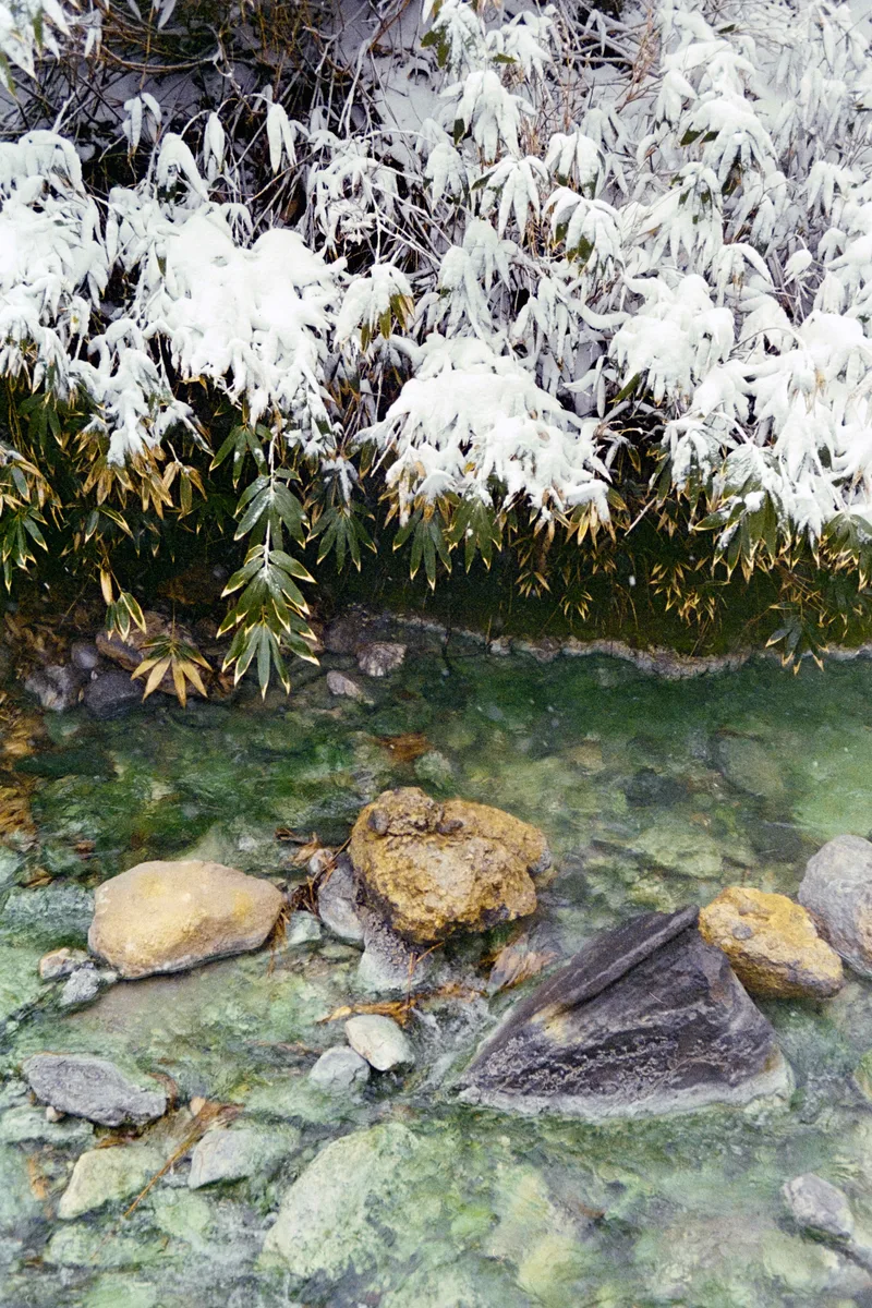 Film photo shot on Kodak MiColor with a Olympus OM-2N, developed at Home / Self-Developed, by Oleg Kovalev