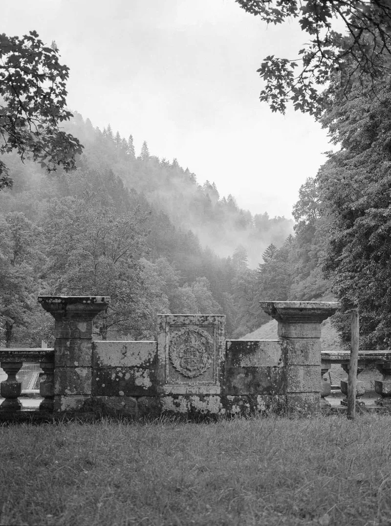 Fog after the rain shot on Kodak Tri-X 400 with a Fuji GA645W, developed at Home / Self-Developed, by Patrick Marquetecken