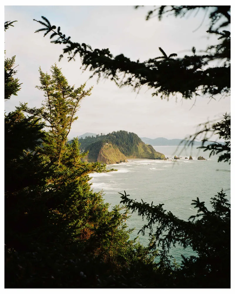 Oregon coast shot on Kodak Portra 400 with a Fuji GA645Zi, developed at Wilson Camera, by Trevor McGoldrick