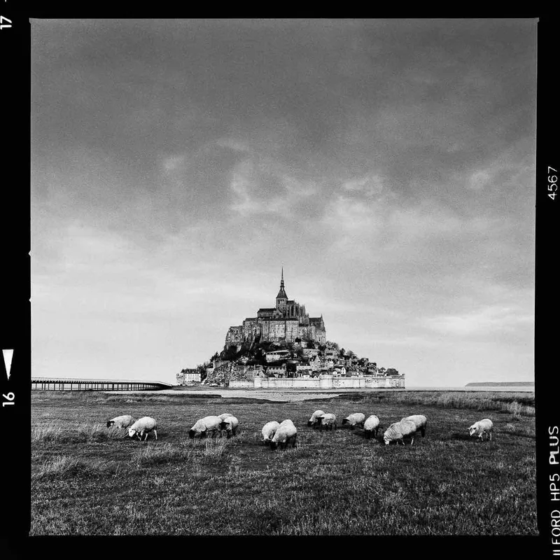 Mont et moutons shot on Ilford HP5 Plus 400 with a Hasselblad 500C/M, developed at Négatif+, by Eric