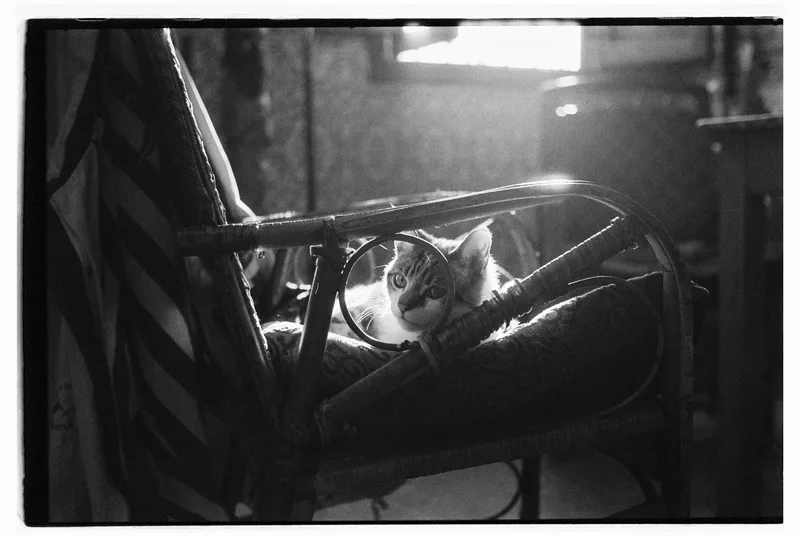 Film photo shot on Ilford HP5 Plus 400 with a Pentax K1000, by chiara