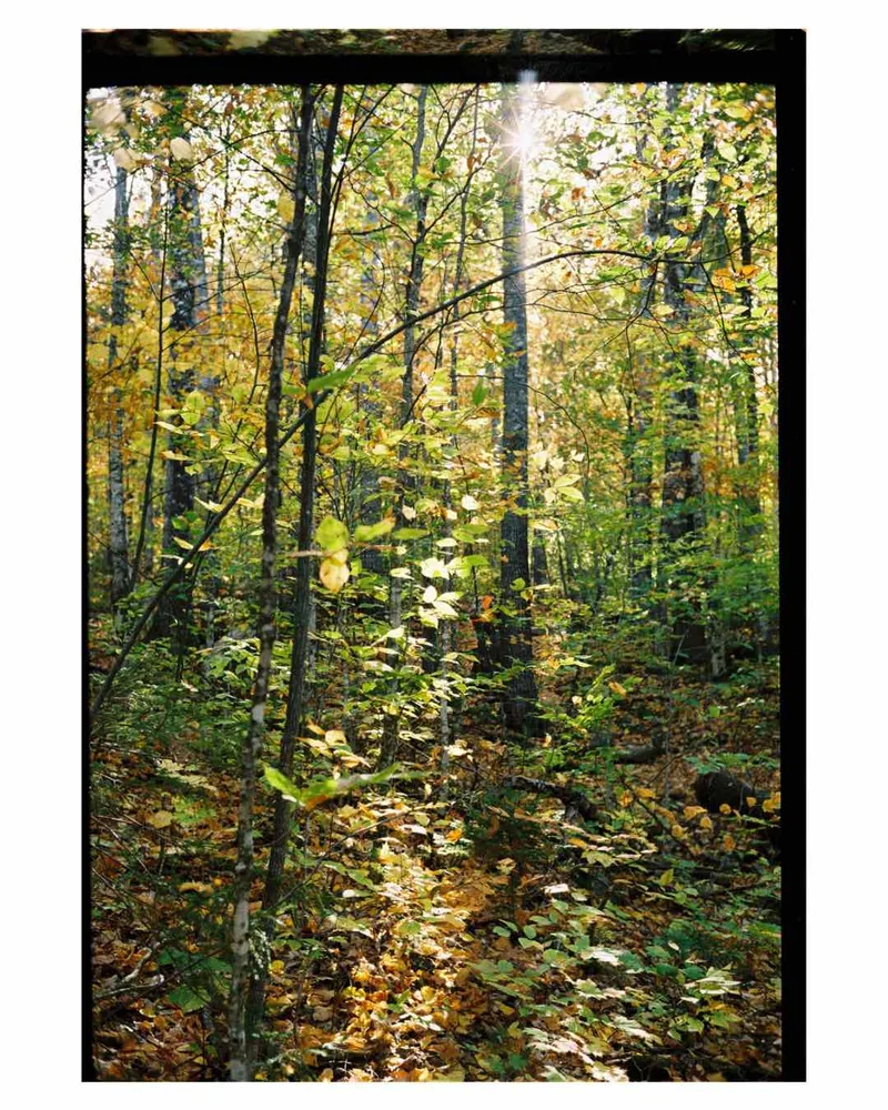 appalachian trail, maine shot on Kodak Kodacolor 200 with a Leica M3, developed at Northeast Photographic, by Eric Wefald - Huang